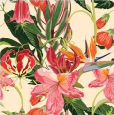 Kiddies Apron - choose your print